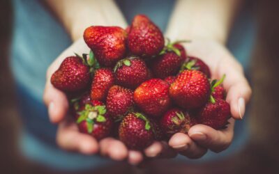 these are yummy strawberries